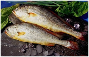 海產(chǎn)品冷庫