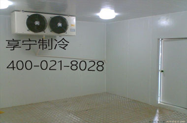 小型醫(yī)藥冷庫(kù)--上海達(dá)孚士實(shí)業(yè)冷庫(kù)工程