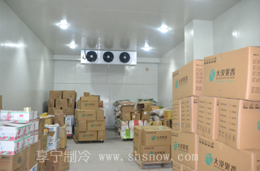 水果冷庫—濟南卡曼國際貿易公司