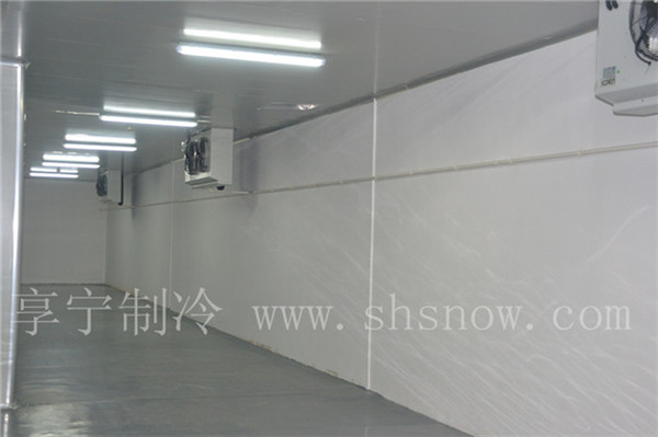 上海葡萄冷庫--杭州千島湖艷陽天農(nóng)業(yè)冷庫工程