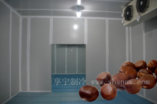 板栗冷藏庫