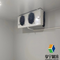 冷庫可以保鮮什么蔬菜 | 這些常見蔬菜保鮮效果杠杠滴! 冷庫可以保鮮什么蔬菜 | 這些常見蔬菜保鮮效果杠杠滴!