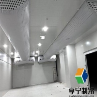 2匹冷庫加多少公斤氟?老師傅手把手教你算準用量不踩坑 2匹冷庫加多少公斤氟?老師傅手把手教你算準用量不踩坑