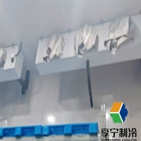 冷庫架子用什么材料好?品牌推薦與材料選購指南 冷庫架子用什么材料好?品牌推薦與材料選購指南