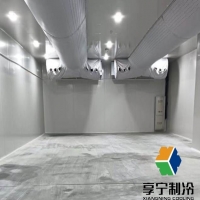 冷庫里的海鮮可以放多久？看完這篇再也不怕囤貨翻車