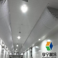 根據關鍵詞:掛鉤板冷庫是b1還是b2的?3個關鍵指標+2種自測方法 根據關鍵詞:掛鉤板冷庫是b1還是b2的?3個關鍵指標+2種自測方法