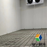 冷庫什么牌子機器質量好？2025年十大優質品牌推薦及選購指南
