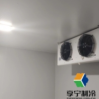 冷庫兩根銅管分別代表什么?蒸發器與冷凝器作用解析與選購指南 冷庫兩根銅管分別代表什么?蒸發器與冷凝器作用解析與選購指南