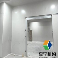 冷庫豬肉放多久算是超儲？3個信號教你科學判斷儲存期限