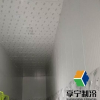 冷庫(kù)化霜感溫包放什么位置合適?專業(yè)解析與實(shí)用指南 冷庫(kù)化霜感溫包放什么位置合適?專業(yè)解析與實(shí)用指南