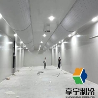 冷庫冷凍豬肉保質(zhì)期多久？看完這篇再也不怕囤肉翻車！