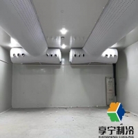掛鉤板冷庫是b1還是b2好?解析防火等級差異與適用場景 掛鉤板冷庫是b1還是b2好?解析防火等級差異與適用場景