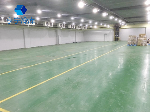 建設1000平米冷庫造價