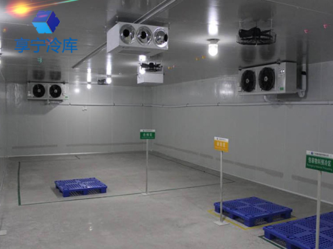 建一個氣調冷庫造價大約多少？享寧專注冷庫工程安裝20年！