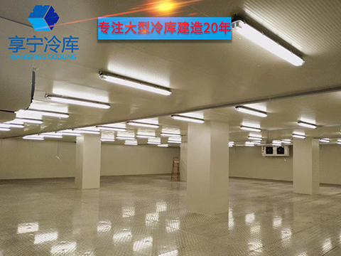1000平方冷藏冷庫工程造價|享寧專注冷庫安裝20年！