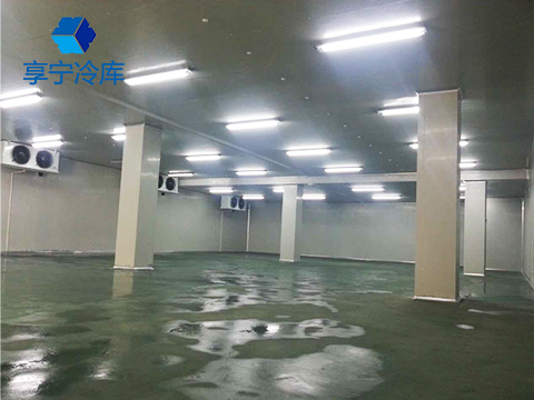 醫藥冷庫--杭州遠大生物制藥冷庫工程