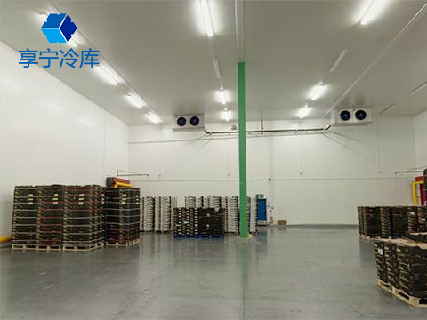葡萄氣調(diào)冷庫(kù)|葡萄保鮮冷庫(kù)|享寧制冷-專(zhuān)注制冷14年