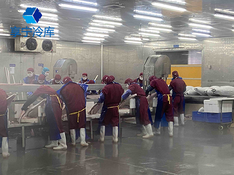 凍魚冷庫(kù)|金槍魚凍庫(kù)|-60度速凍庫(kù)