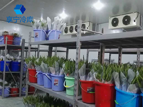 鮮花冷庫--上海分尚網絡科技（北京）冷庫工程