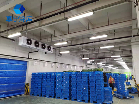 電商生鮮冷庫--上海淘璽電子冷庫工程