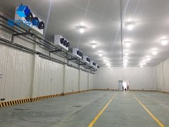 檳榔冷庫|檳榔保鮮冷藏庫
