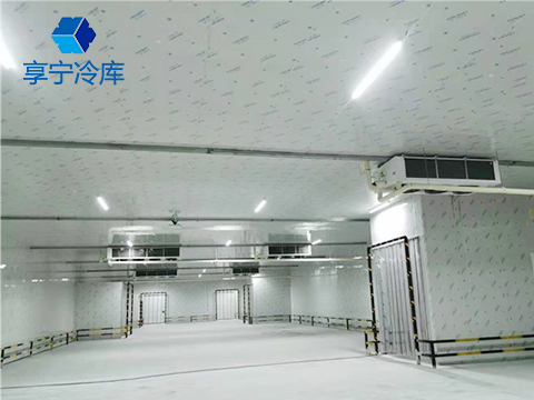 果蔬冷庫設計、造價及建造！
