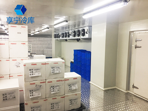 醫(yī)藥冷庫--伊藤忠物流（中國）冷庫工程