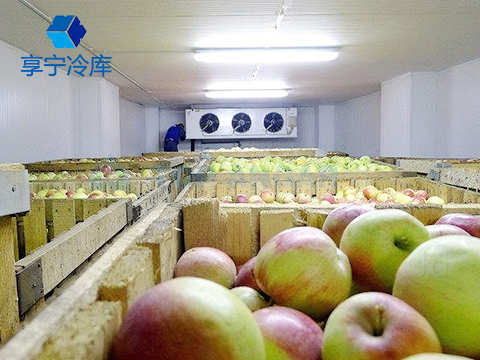 水果保鮮庫--上海果慧農業科技冷庫工程