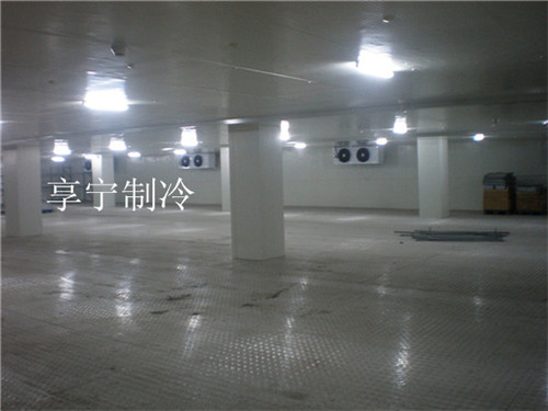 建造保鮮冷庫大概需要多少錢？