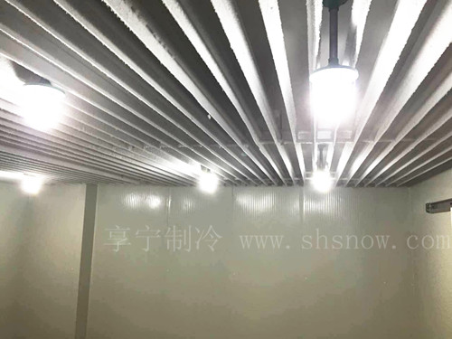 享寧保鮮冷庫設(shè)計(jì)要領(lǐng)