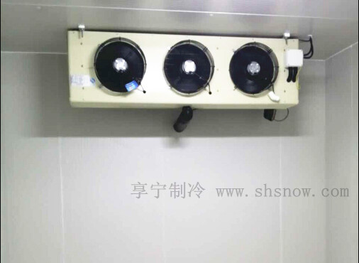 建一個肉類冷庫要多少錢？